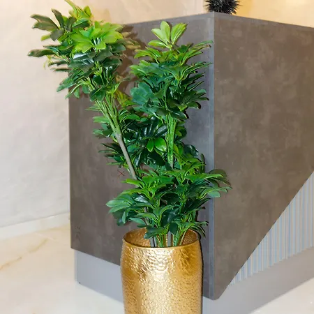 Alojamento de Acomodação e Pequeno-almoço Irini Luxury 4*